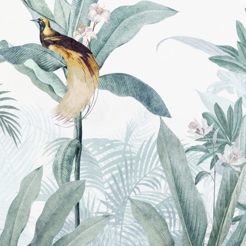 Honpo | Bird's Paradise